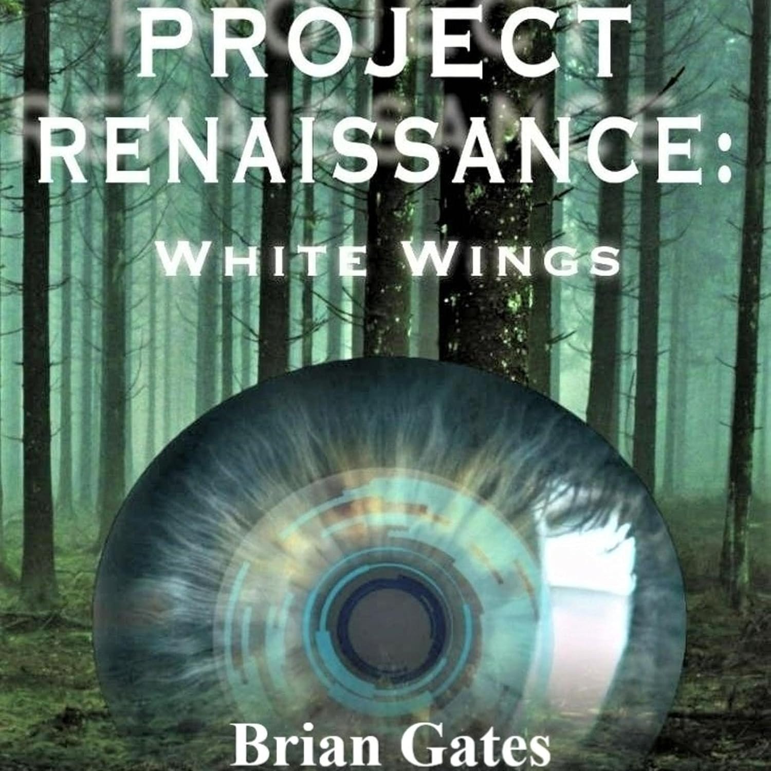 Reviving Dreams: A Journey Through Project Renaissance: White Wings